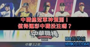中職總冠軍