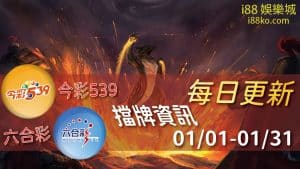 539擋牌1月